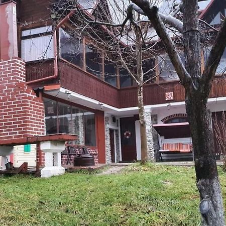 Casa COLT DE RAI Brezoi Exterior foto