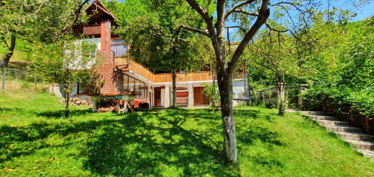 Casa COLT DE RAI Brezoi Exterior foto