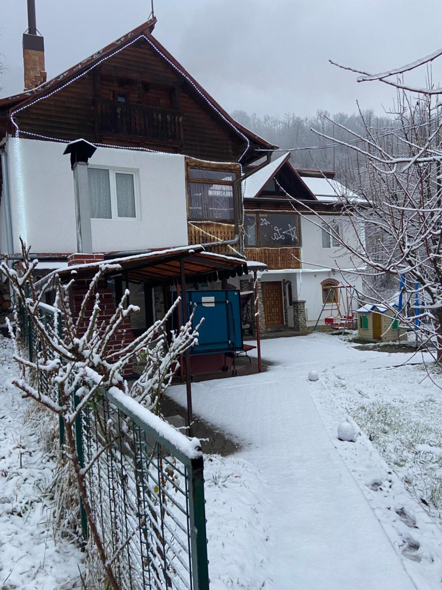 Casa COLT DE RAI Brezoi Exterior foto